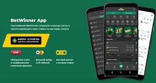 Understanding BetWinner's Privacy Policy What You Need to Know Understanding BetWinner's Privacy Policy What You Need to Know